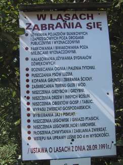 IMG_1474.JPG
